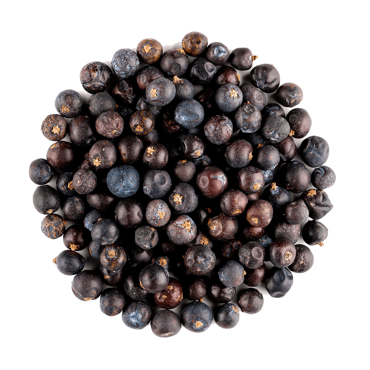 Juniper Berries